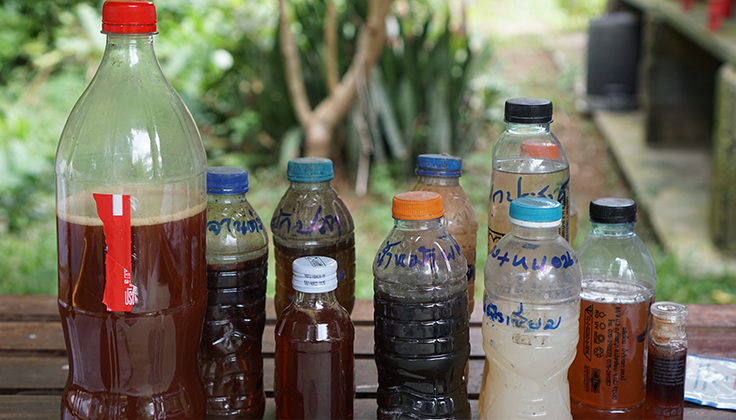 ทำน้ำหมักชีวภาพ