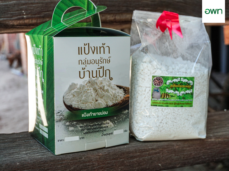 ชมแปลงปลูกแป้งท้าวยายม่อม