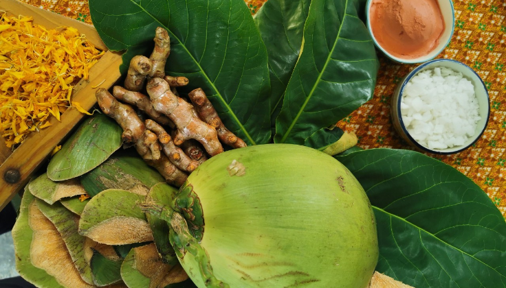 กลุ่มสมุนไพร