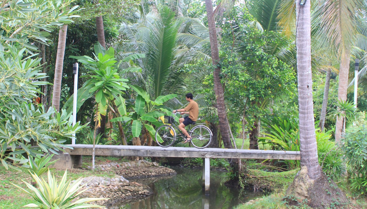 Bike ride way for watching nature and way of life