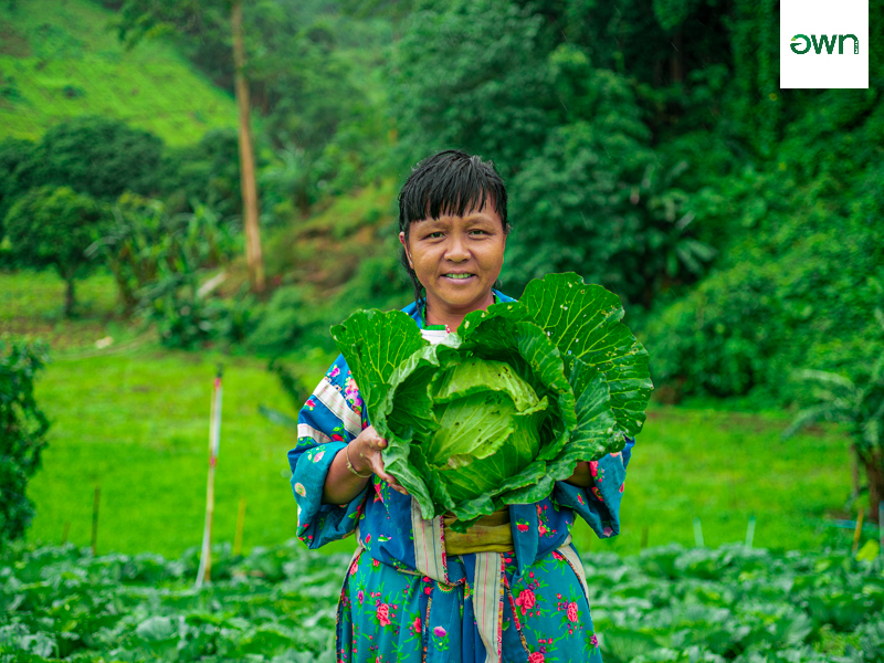 ศูนย์วิจัยและพัฒนาการเกษตรตาก (ดอยมูเซอ)