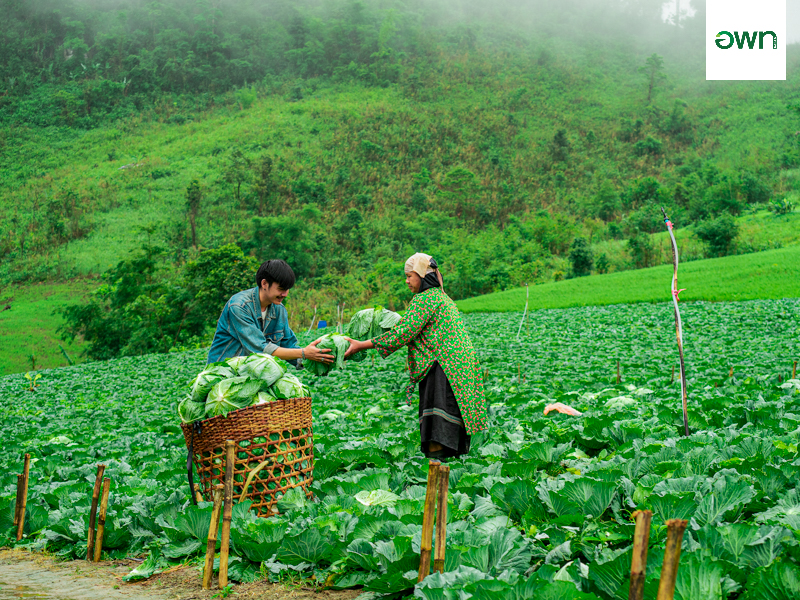 ศูนย์วิจัยและพัฒนาการเกษตรตาก (ดอยมูเซอ)
