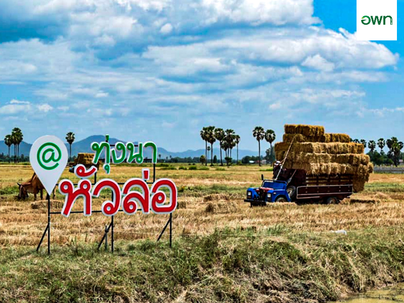 Community Veiw Point