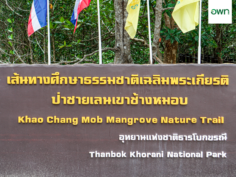 Khao Chang Mhob Mangrove Forest Study Trail