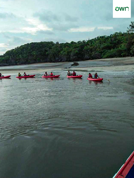 Kayaking and Sightseeing The Beautiful Mangrove Forest