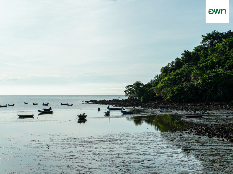 Walking Around The Pitak Island