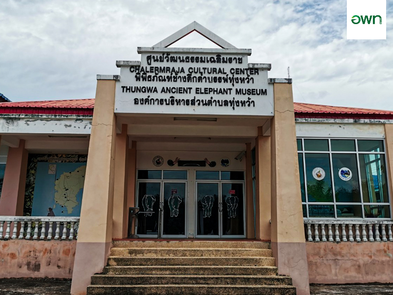 พิพิธภัณฑ์ช้างดึกดำบรรพ์