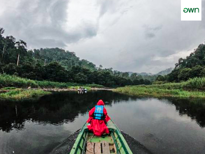 ล่องเรือเขื่อนบางลาง