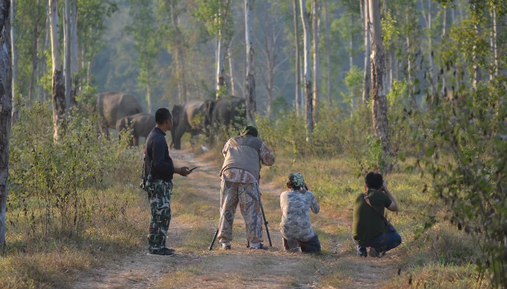 ส่องสัตว์