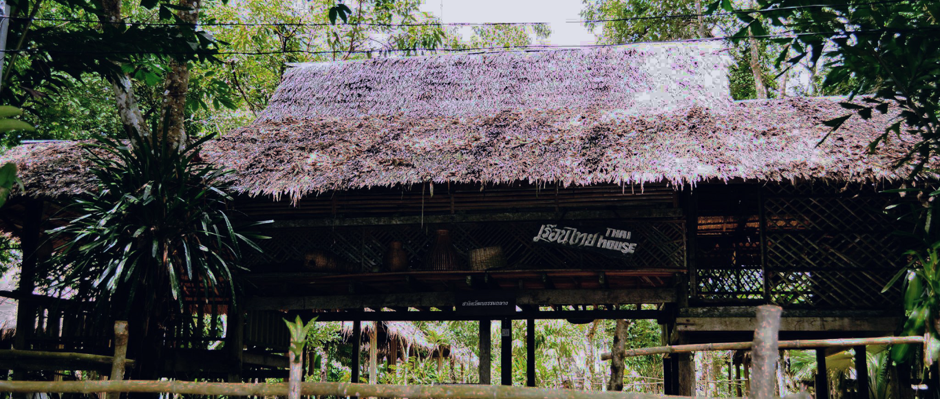 ชุมชนบ้านแขนน