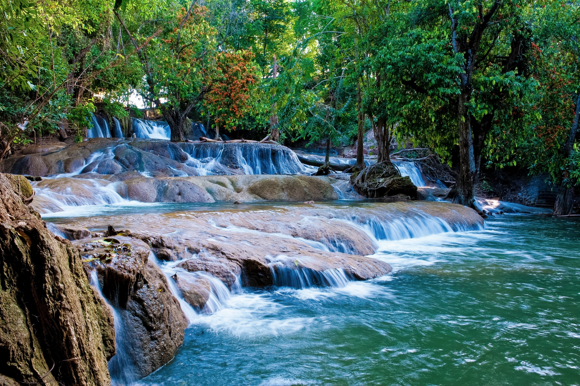 สวนรุกขชาติน้ำตกวังก้านเหลือง