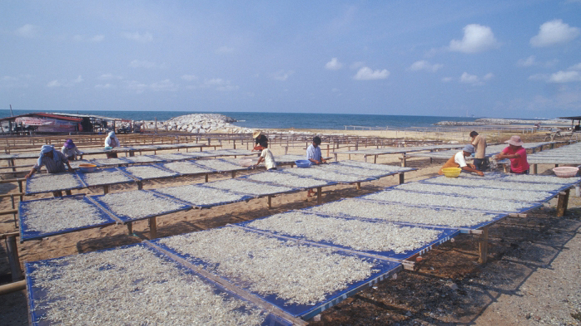 หาดแสงจันทร์
