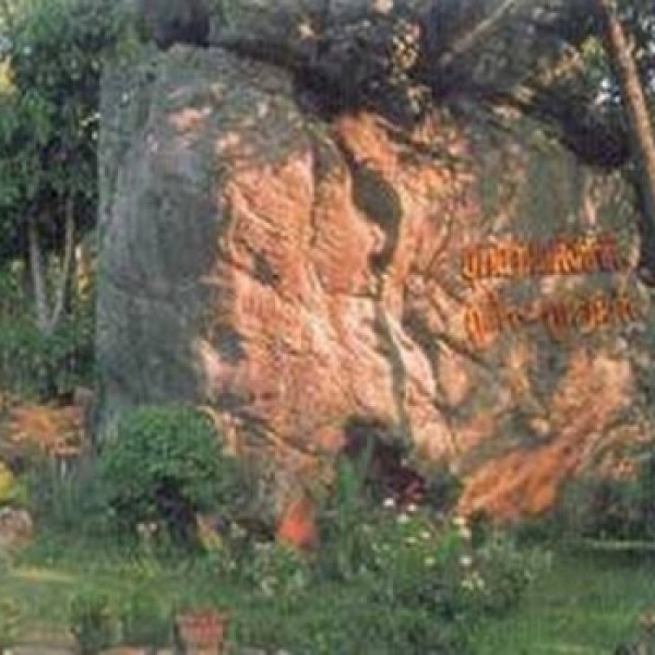 โนนวัดป่า