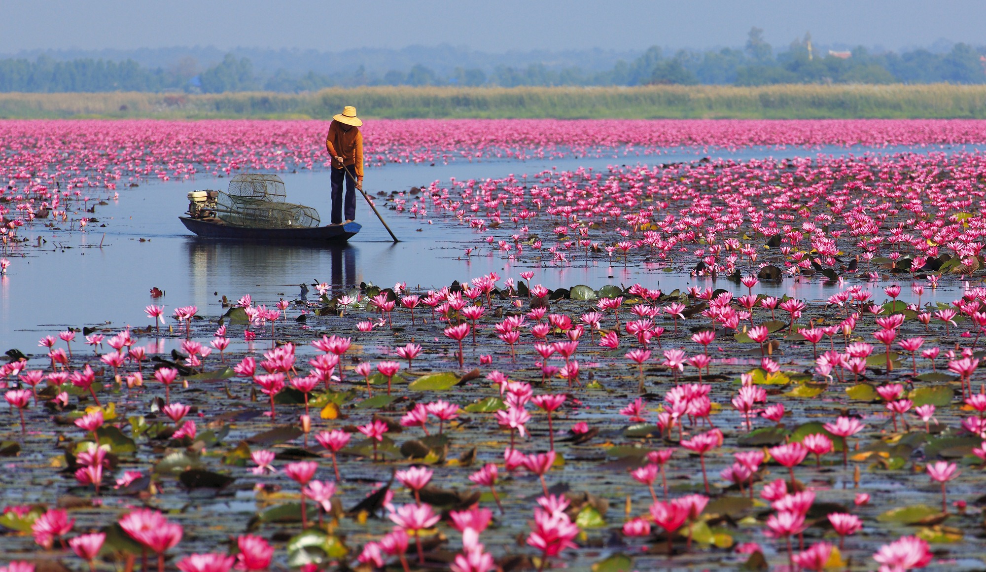 ทะเลบัวแดงหนองหาน-กุมภวาปี