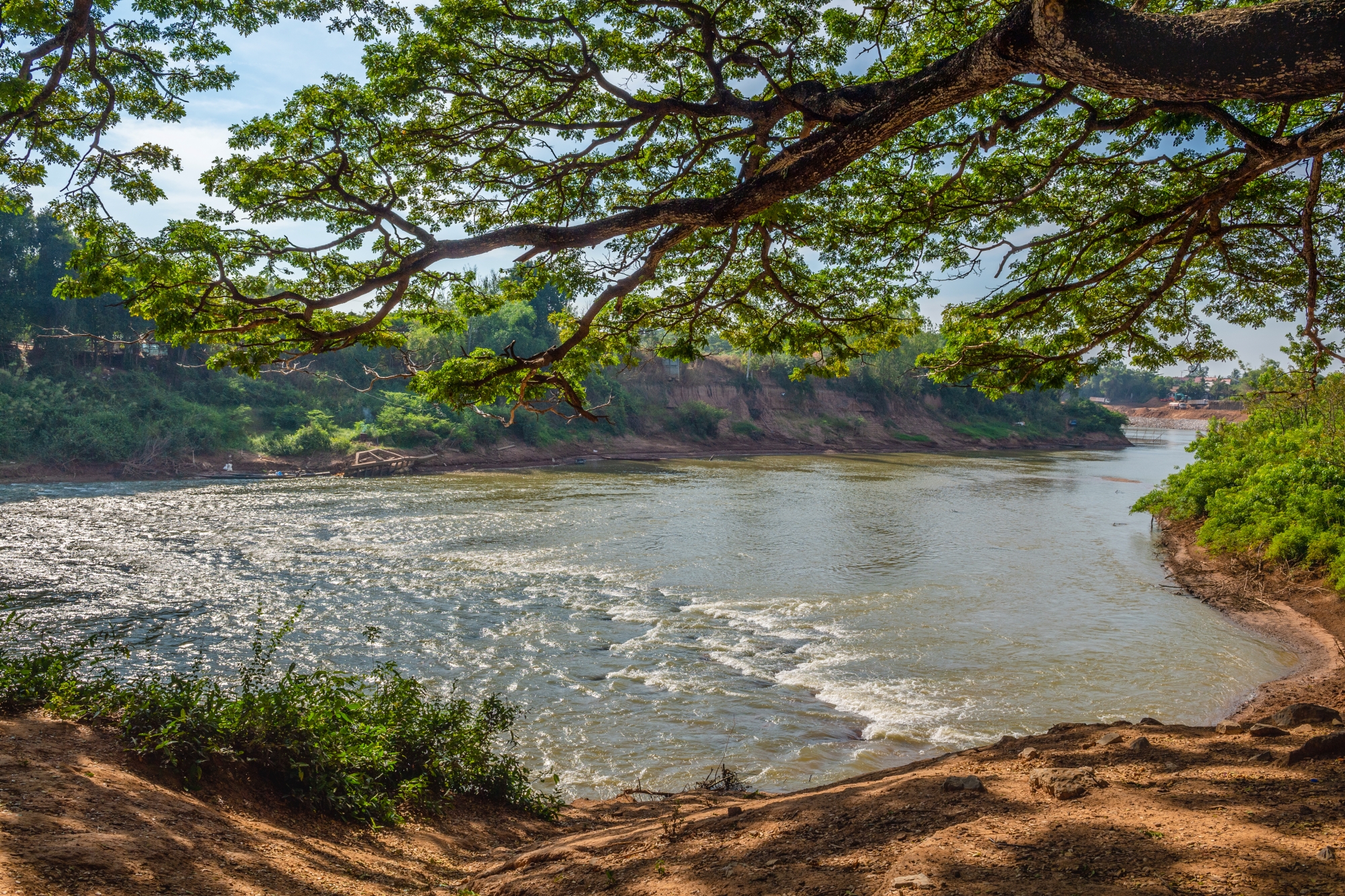 วนอุทยานโกสัมพี