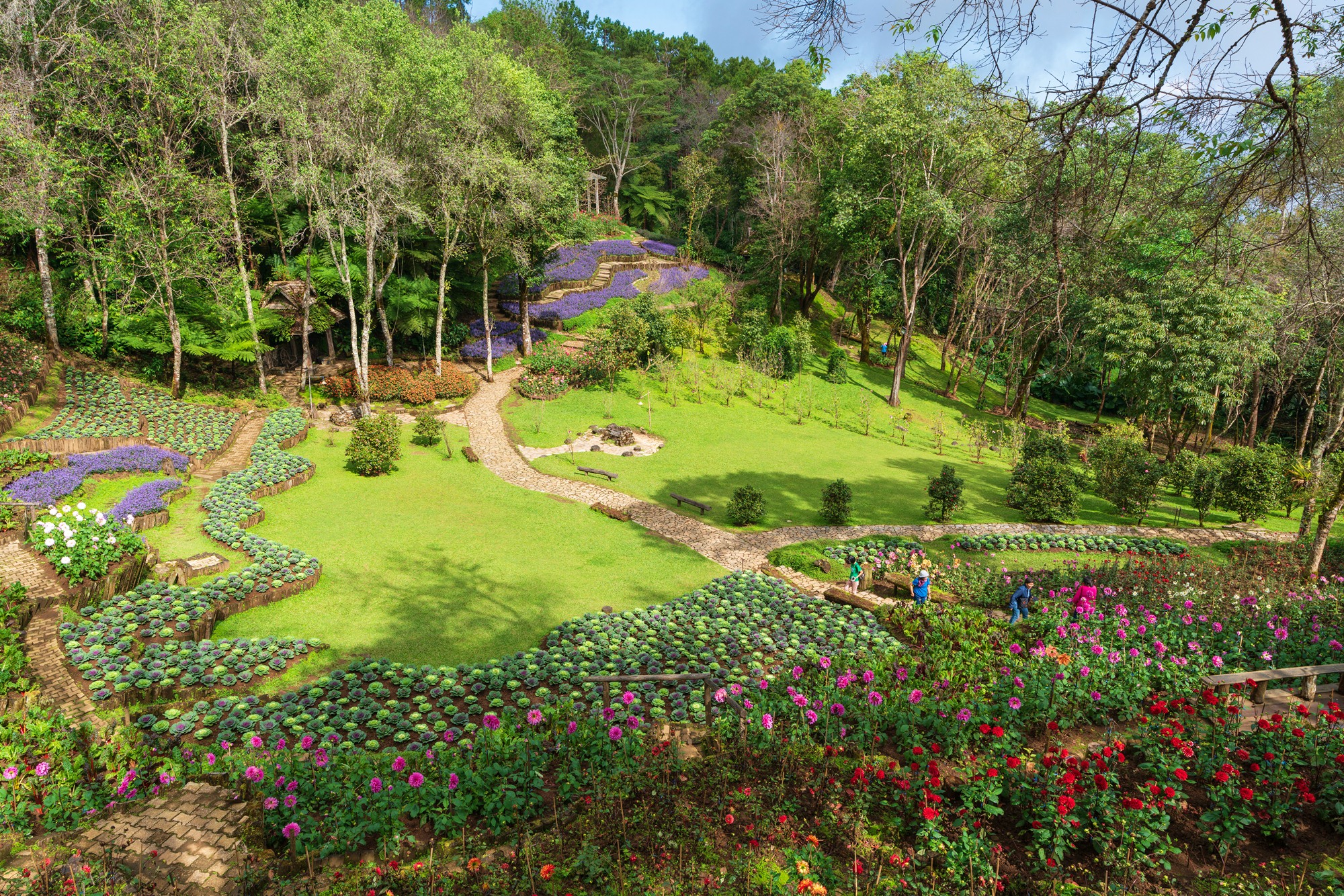 สวนรุกขชาติแม่ฟ้าหลวง ดอยช้างมูบ