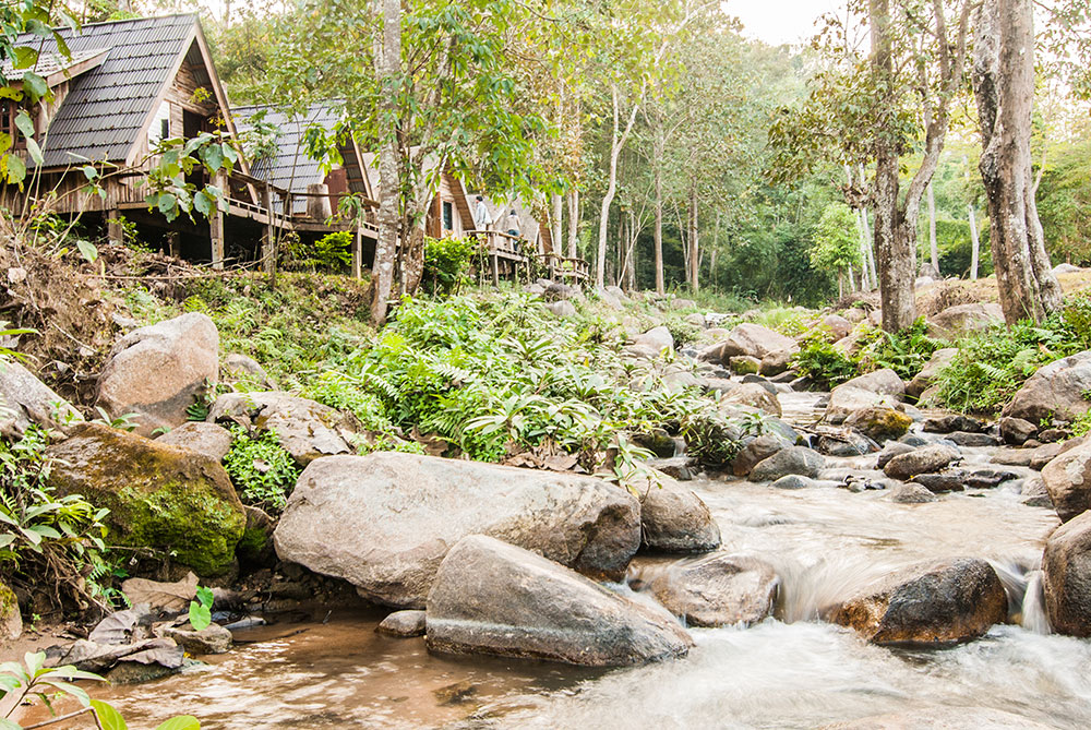 สวนป่าแม่ยาว-แม่ซ้าย