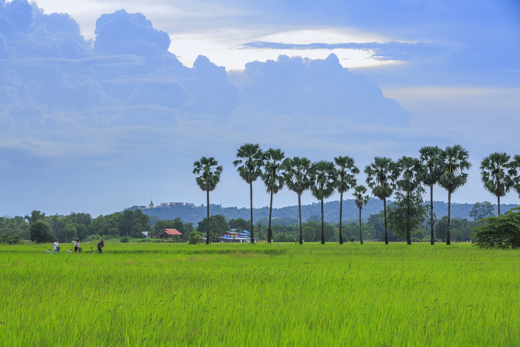 เกาะเทโพ