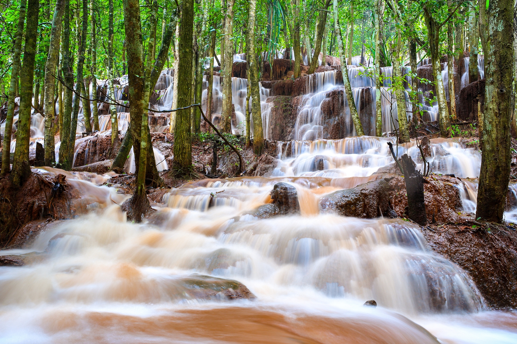 น้ำตกป่าหวาย