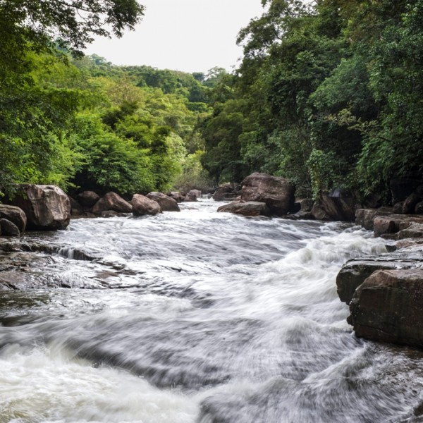 วนอุทยานน้ำตกธารทิพย์