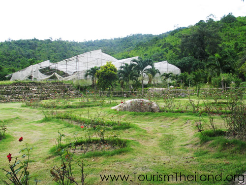 ไร่กุหลาบอุษาวดี
