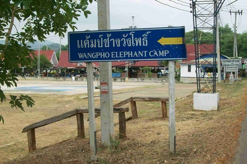 แคมป์ช้างวังโพ