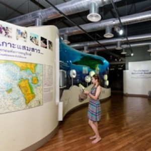 ศาลหลวงต้นไทร