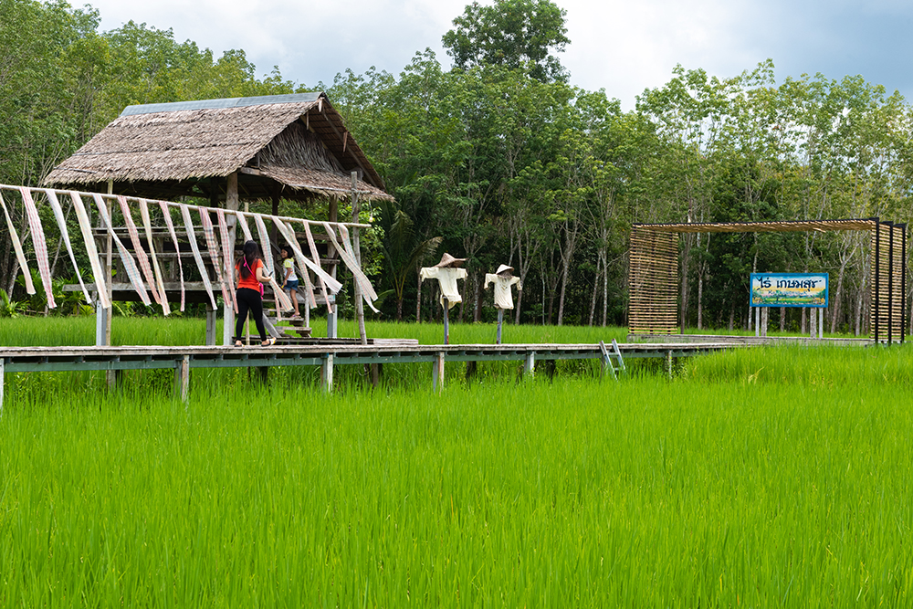 ไร่เกษมสุข