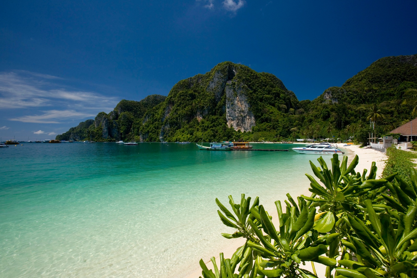 เกาะพีพีดอน