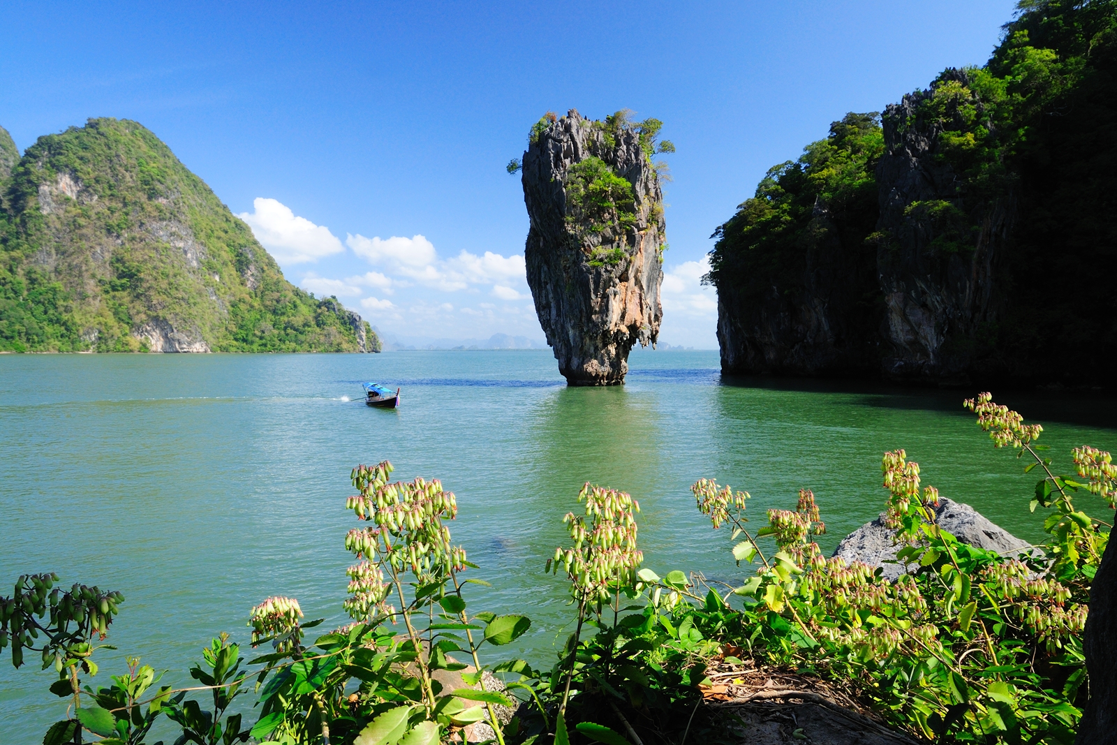 เกาะตะปู
