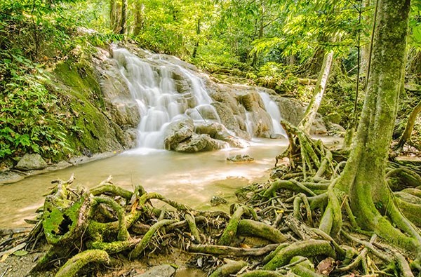 วนอุทยานสระนางมโนราห์