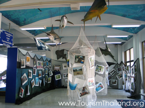 สถานแสดงพันธุ์สัตว์น้ำภูเก็ต (ภูเก็ตอควาเรียม)