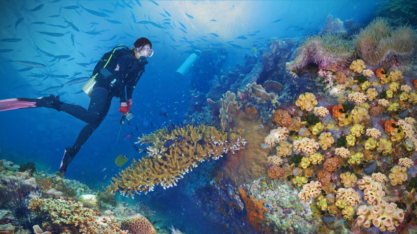 หมู่เกาะชุมพร