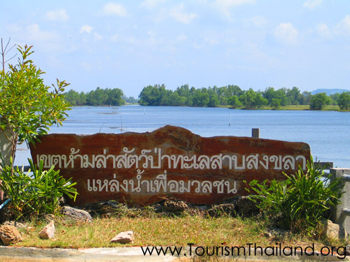 อุทยานนกน้ำคูขุด (เขตห้ามล่าสัตว์ป่าทะเลสาบสงขลา)