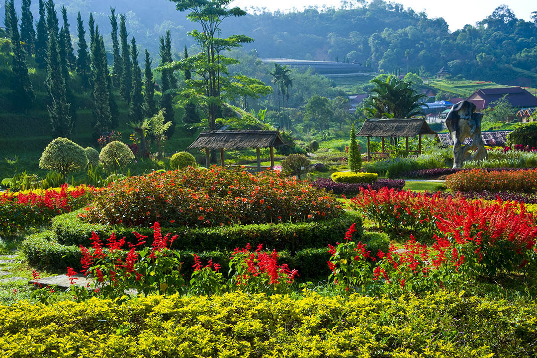 สวนไม้ดอกเมืองหนาว