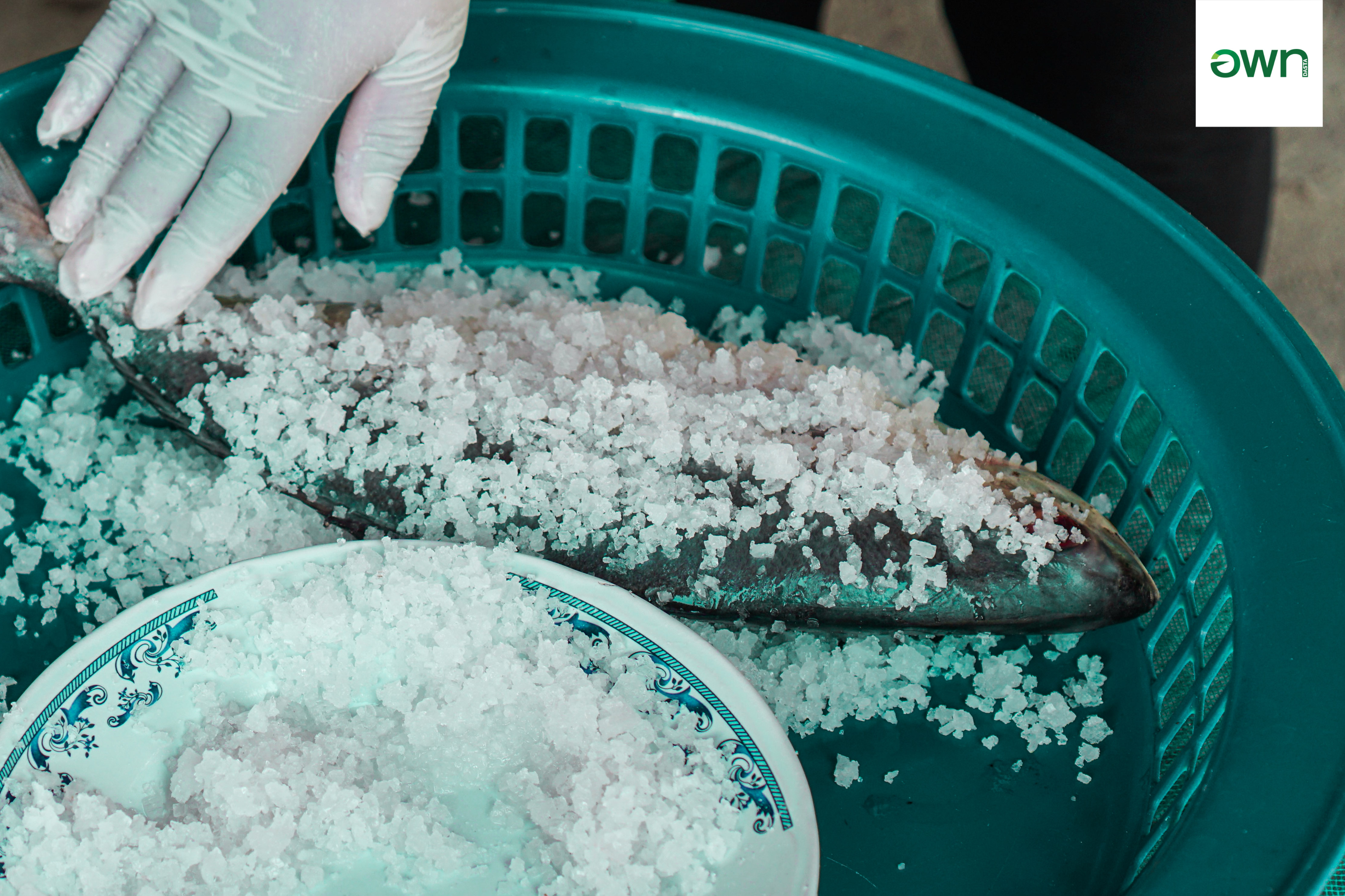 กิจกรรมชิมปลาเค็มฝังทราย